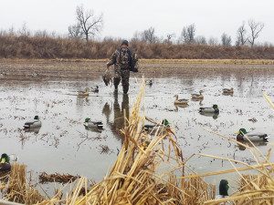 duck hunting trip