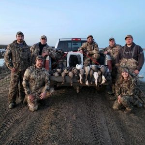 Specklebelly Goose hunting